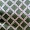 (C138-3) Lattice (green/green)