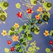 (C184-2) Growing Nasturtiums [blue ground]